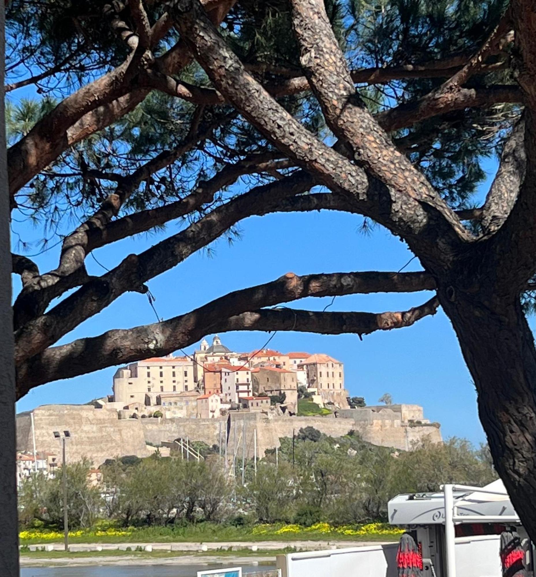 Studio Calvi Situation Exceptionnelle Exterior photo